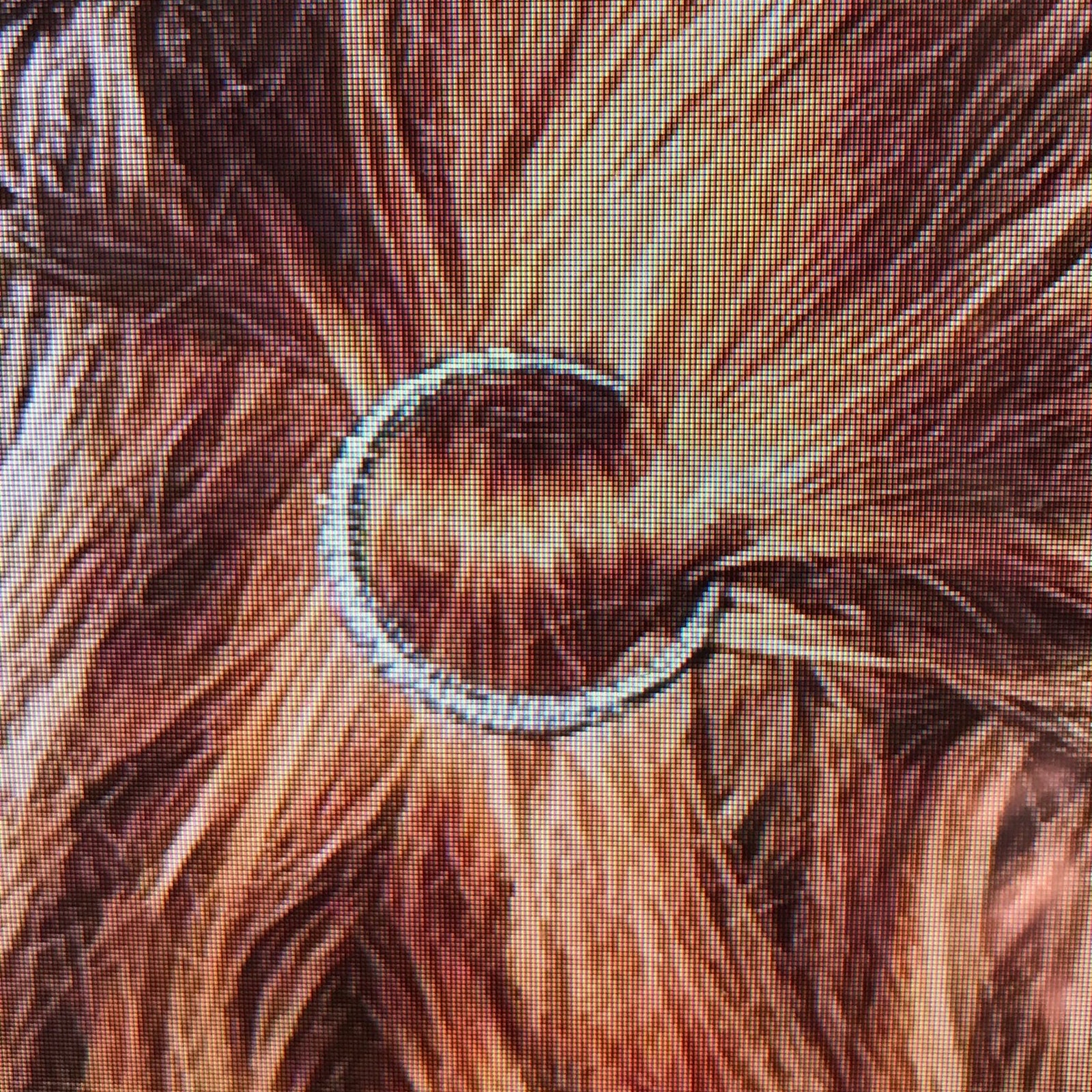 CI Starburst Pave Moon Hair Clip 10$